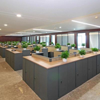 General Lighting-Indoor